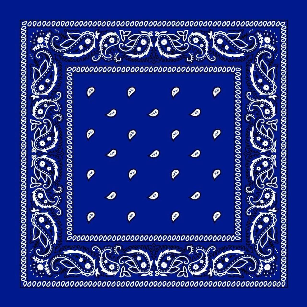Bandana - Blue Paisley Bandana