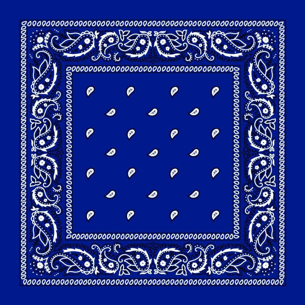 Bandana - Blue Paisley Bandana