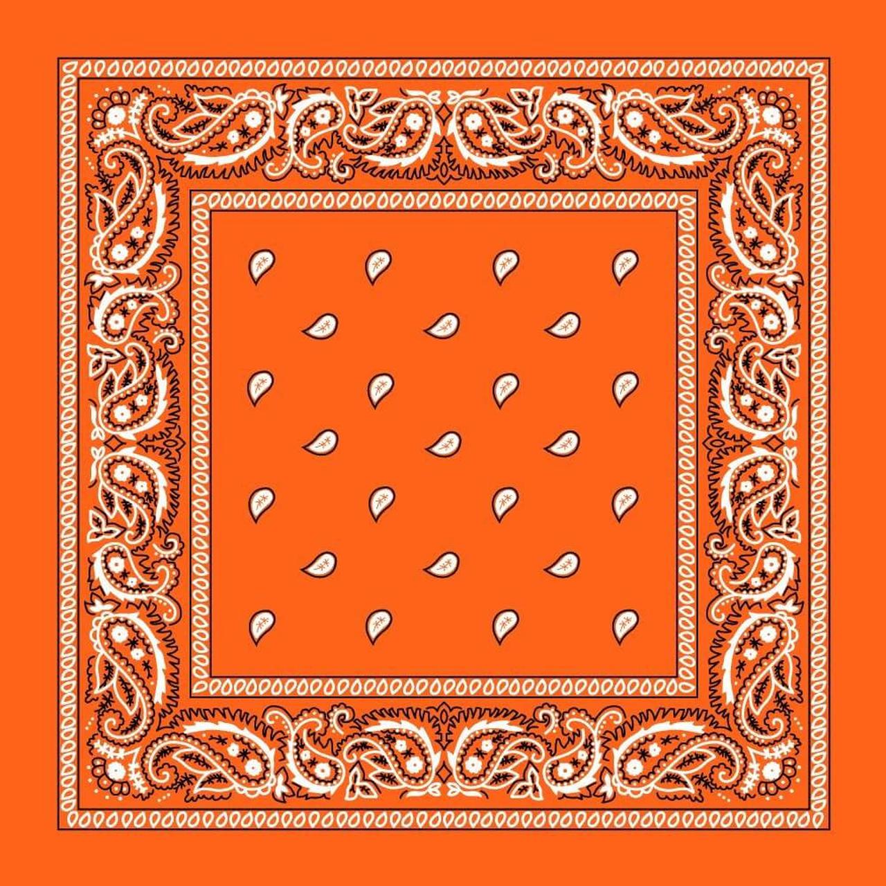 Bandana - Orange Paisley Bandana