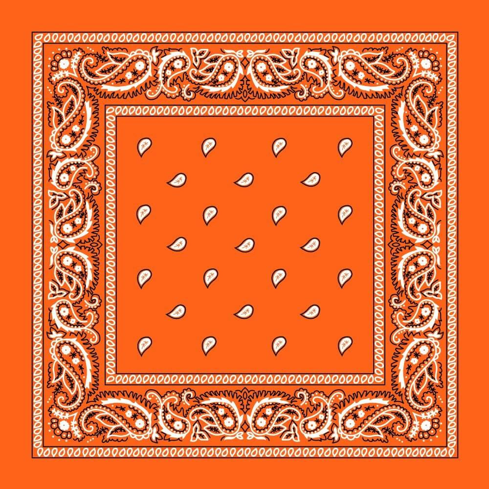 Bandana - Orange Paisley Bandana