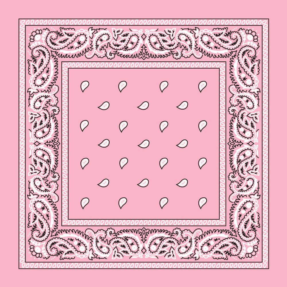 Bandana - Pink Paisley Bandana