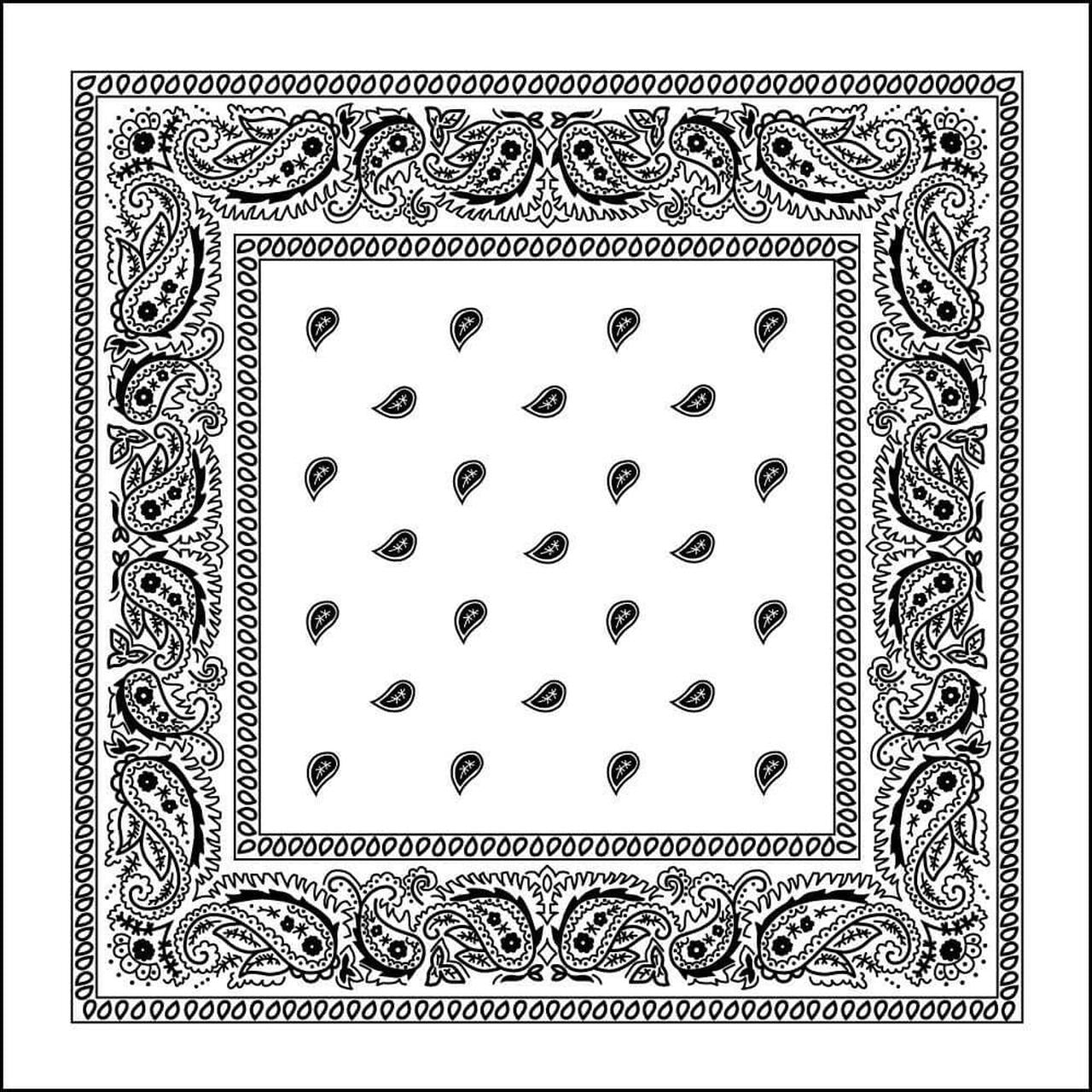 Bandana - White Paisley Bandana