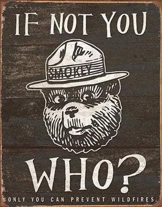 Humour - Smokey Bear If Not You Who? Billboard