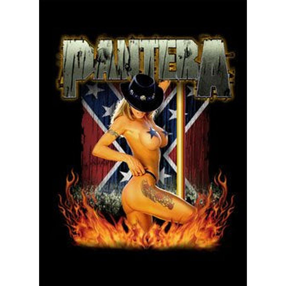 Pantera - Southern Girl Fleece Blanket