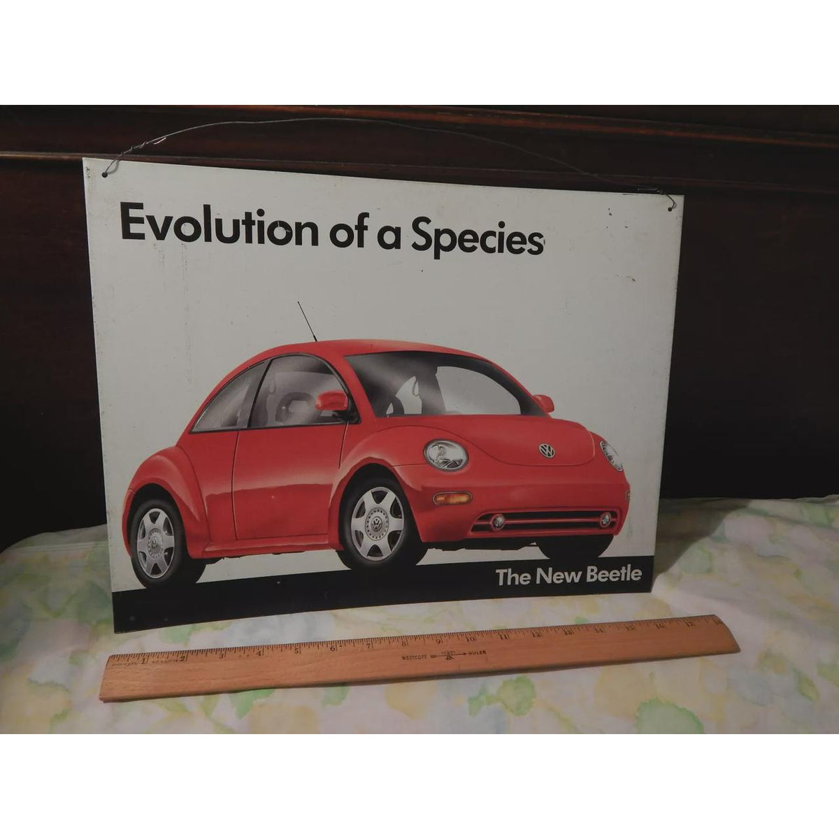 Volkswagen - New Beetle Evolution of a Species Billboard