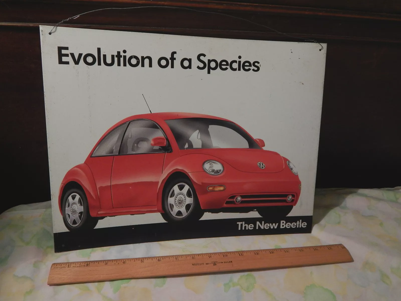 Volkswagen - New Beetle Evolution of a Species Billboard